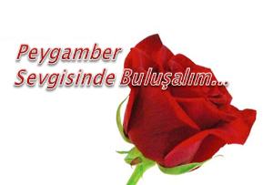 KUTLU DOĞUM HAFTASI